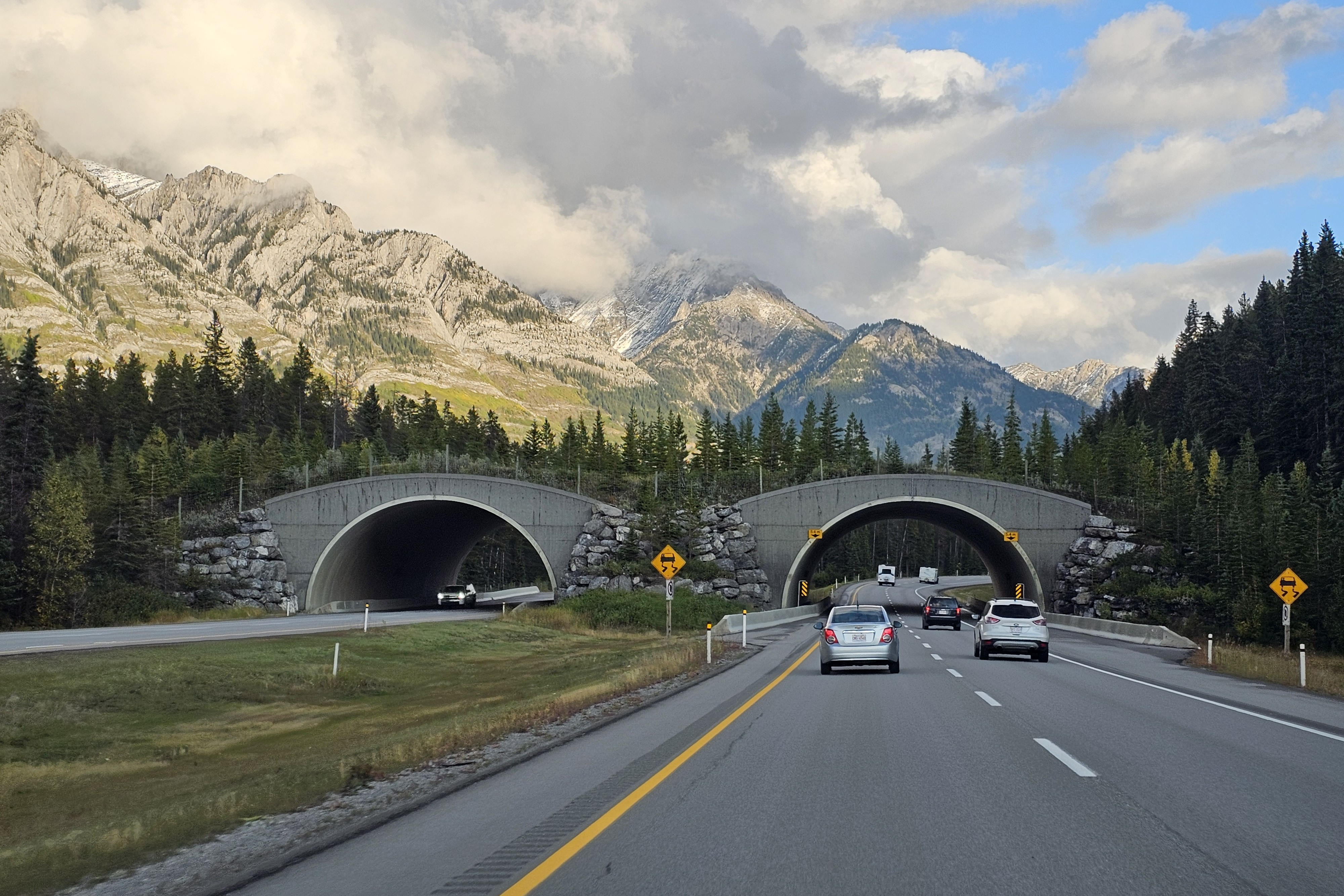 NP Banff